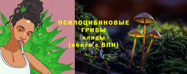 прущая мука Абаза