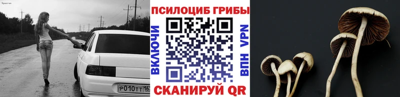 Псилоцибиновые грибы MAGIC MUSHROOMS  Шахты 